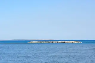 Dolphin House