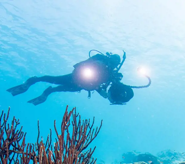 Digital Underwater Photographer