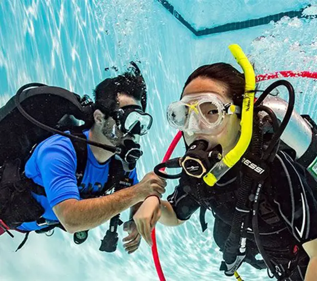 PADI Seal Team